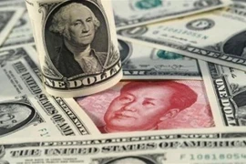 Đồng NDT và đồng USD. (Ảnh: Kyodo/TTXVN)