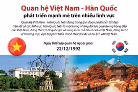Quan hệ Việt Nam-Hàn Quốc phát triển mạnh mẽ. (Nguồn: TTXVN)