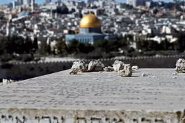 Cả Israel và Palestine đều tuyên bố Jerusalem là thủ đô. (Nguồn: AFP)