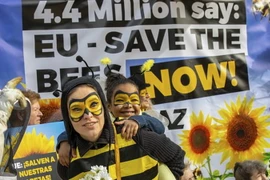 EU quyết định cấm sử dụng các loại thuốc trừ sâu gây hại cho loài ong. (Nguồn: The Guardian)