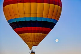 Ảnh minh họa. (Nguồn: illiebunnie.smugmug.com)