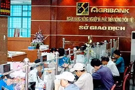 Ảnh chỉ mang tính minh họa. (Nguồn: Internet)
