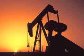 Ảnh minh họa. (Nguồn: thelevantpost.com)