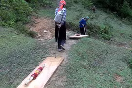 Vì lợi nhuận cao lại không bị chính quyền xử lý, nên người dân vẫn hàng ngày vào rừng lấy gỗ pơmu về bán. (Ảnh: Hoài Sơn/TTXVN)