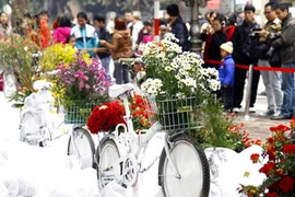 Tác phẩm xe đạp hoa tại lễ hội phố hoa Hà Nội. (Ảnh: Thanh Tùng/TTXVN)