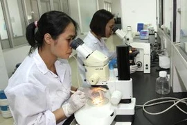 Ảnh minh họa. (Nguồn: TTXVN)