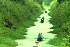 Ảnh minh họa. (Nguồn: TTXVN)