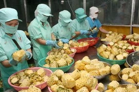 Chế biến dứa xuất khẩu. (Ảnh: Đình Huệ/TTXVN)