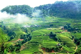 Núi rừng Tây Bắc luôn có sức hấp dẫn cuốn hút bất cứ ai đến đây. (Nguồn: hoinghi.vn)