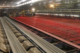 Ảnh minh họa. (Nguồn: TTXVN)