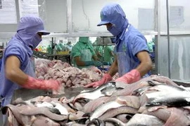 Chế biến cá tra/basa filet xuất khẩu tại Nhà máy thủy sản sông Tiền (Đồng Tháp). (Ảnh: Đình Huệ/TTXVN)