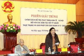 Phó Chủ tịch Quốc hội Tòng Thị Phóng phát biểu ý kiến chỉ đạo tại hội nghị. (Ảnh: Doãn Tấn/TTXVN)