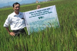 Ông Phan Văn Hoà bên mô hình khảo nghiệm giống lúa VH1. (Nguồn: báo Nghệ An)