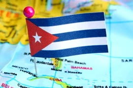 Ảnh minh họa. (Nguồn: Internet)