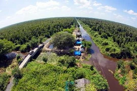 Một góc Vườn Quốc gia U Minh Hạ. (Ảnh: Duy Khương/TTXVN)