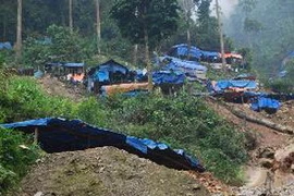 Một điểm khai thác vàng trái phép ở huyện Văn Bàn, tỉnh Lào Cai. (Nguồn: báo Nông nghiệp Việt Nam)