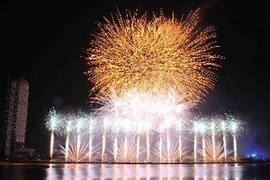 Màn trình diễn bắn pháo hoa của đội Italy trong cuộc thi trình diễn pháo hoa Đà Nẵng 2012. (Ảnh: Minh Đức/TTXVN)