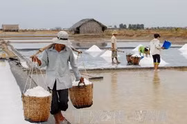 Ảnh minh họa. (Nguồn: TTXVN)