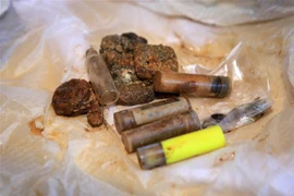 (Ảnh minh họa: Hồ Cầu/TTXVN)