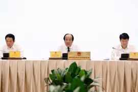 Bộ trưởng, Chủ nhiệm Văn phòng Chính phủ, Người Phát ngôn Chính phủ Mai Tiến Dũng chủ trì Họp báo. (Ảnh: Dương Giang/TTXVN)