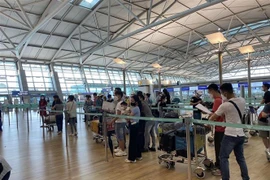 (Ảnh minh họa: TTXVN phát)