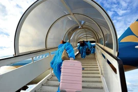 (Ảnh minh họa: Vũ Lê Hà/TTXVN)