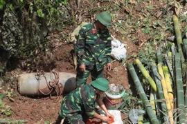 Ảnh chỉ có tính minh họa. (Ảnh: Lê Hữu Quyết/TTXVN)