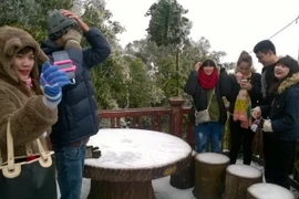 Nhiều bạn trẻ đã lên Vườn Quốc gia Ba Vì (Hà Nội) để ngắm tuyết rơi. (Nguồn: TTXVN)