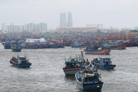 Ảnh chỉ có tính minh họa. (Ảnh: Văn Sơn/TTXVN)