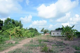 Ảnh chỉ có tính minh họa. (Ảnh: Hưng Thịnh/TTXVN)