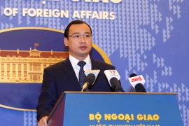 Người Phát ngôn Bộ Ngoại giao Việt Nam Lê Hải Bình. (Ảnh: An Đăng/TTXVN)