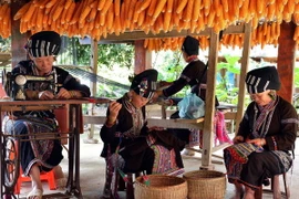 Khám phá và trải nghiệm cuộc sống sinh hoạt, lao động của người dân Bản Hon, Lào Cai. (Ảnh: Thanh Hà/TTXVN)