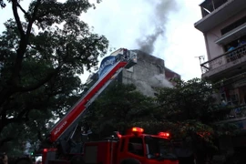 Ảnh chỉ có tính minh họa. (Ảnh: Quý Trung/TTXVN)