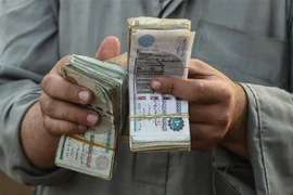 Kiểm đồng bảng Ai Cập tại một cửa hàng ở Menufia Governorate, Ai Cập. (Ảnh: AFP/TTXVN)