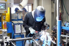 Một thực tập sinh Việt Nam tại Công ty TNHH Công nghiệp Taisei. (Ảnh: Đào Thanh Tùng/TTXVN)