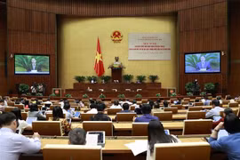 Phó Chủ tịch Quốc hội Nguyễn Đức Hải phát biểu. (Ảnh: Doãn Tấn/TTXVN)