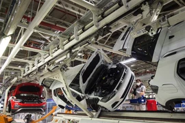 Ôtô được lắp ráp tại một nhà máy của Volkswagen ở Pamplona, Tây Ban Nha. (Ảnh: AFP/TTXVN)