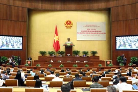 Quang cảnh phiên thảo luận. (Ảnh: Phạm Kiên/TTXVN)