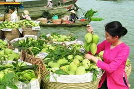 Xây dựng tour xã hội hóa “ĐBSCL - Một điểm đến, 4 địa phương +”