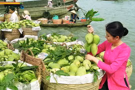 Xây dựng tour xã hội hóa “ĐBSCL - Một điểm đến, 4 địa phương +”