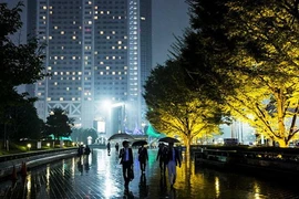 Người đi bộ qua cây được chiếu sáng trong một đêm mưa tại Tokyo ngày 16/10 vừa qua. (Nguồn: Reuters)