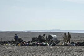Mảnh vỡ máy bay Nga tại Wadi al-Zolomat, bán đảo Sinai, Ai Cập ngày 1/11. (Ảnh: AFP/TTXVN)