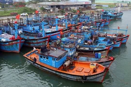 (Ảnh minh họa: Trần Lê Lâm/TTXVN)