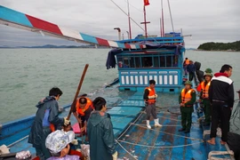(Ảnh minh họa: Nguyễn Hoàng/TTXVN)