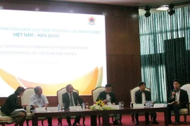 (Ảnh: Mỹ Phương/Vietnam+)