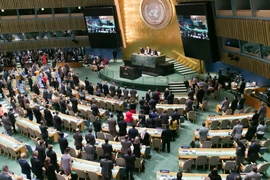 Một phiên họp của Đại hội đồng Liên hợp quốc. (Ảnh: Lê Dương/TTXVN)