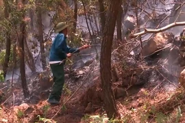 (Ảnh minh họa. Nguồn: TTXVN)