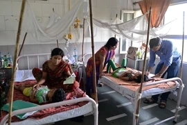 Bệnh nhân sốt xuất huyết được điều trị tại bệnh viện. (Ảnh minh họa: AFP/TTXVN)