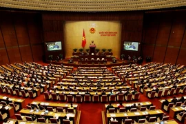 (Ảnh: Nguyễn Dân/TTXVN)