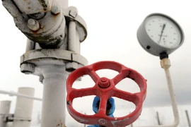 Ảnh minh họa. (Nguồn: ukrinform.ua) 